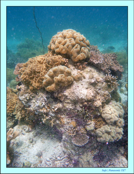 2009    07    Manatabuan 30